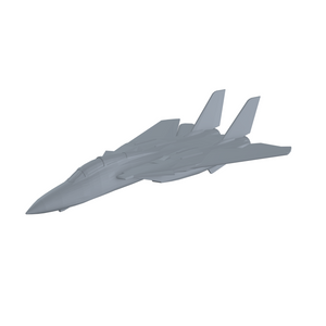 F-14 Tomcat