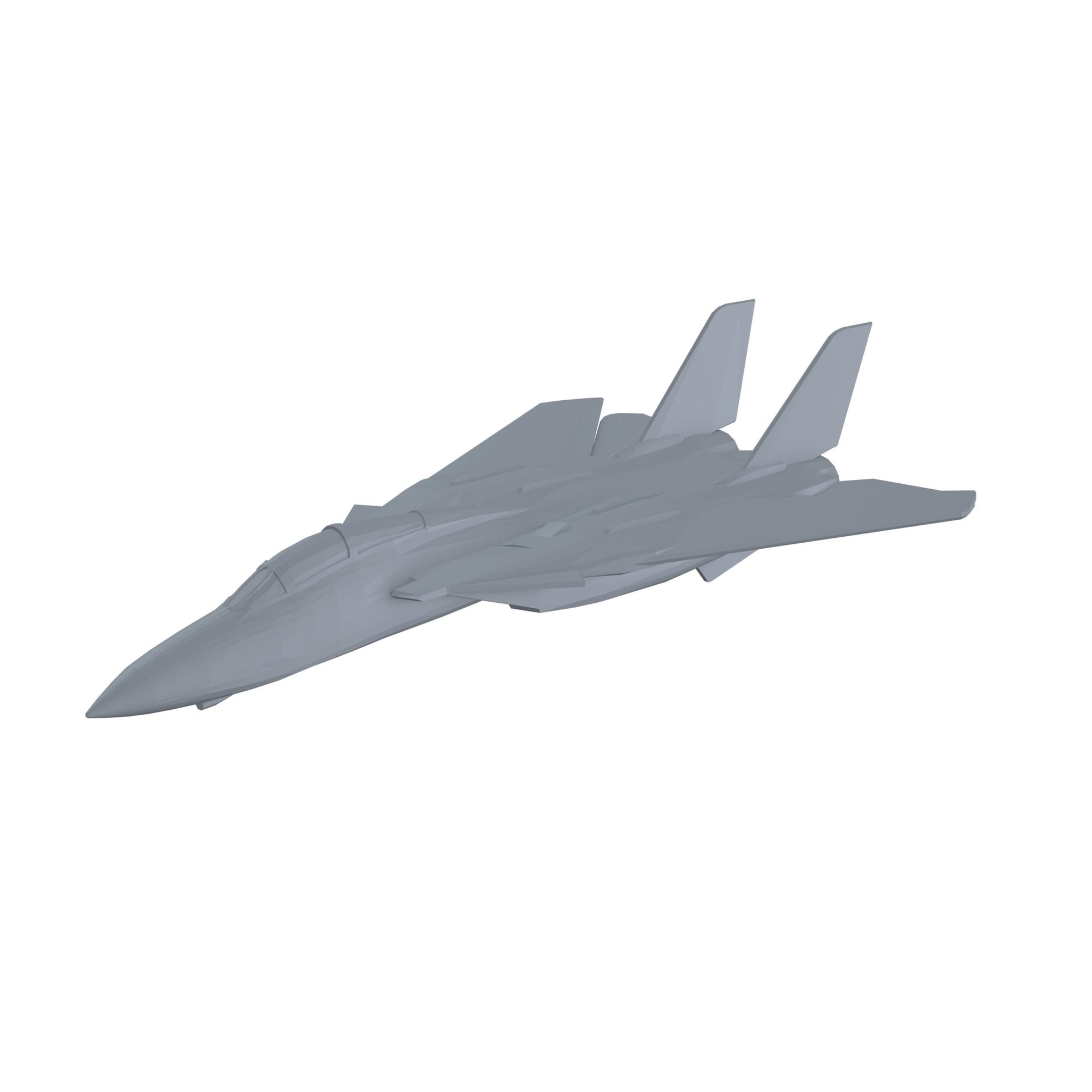 F-14 Tomcat